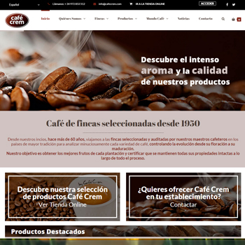 Diseño y desarrollo web